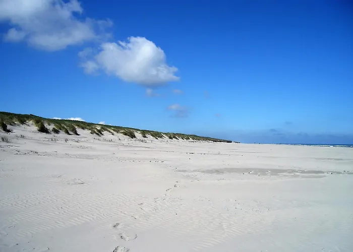 Haus Delft Lita * ユイスト